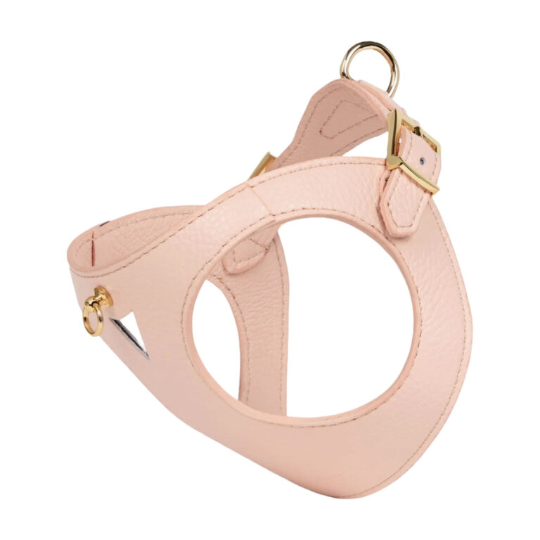 Branni Pets Juno Designer Hundesele Melon