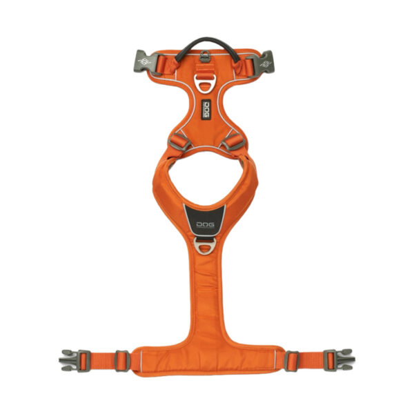 Dog Copenhagen Comfort Walk Pro Hundesele Orange - New Design - Image 4