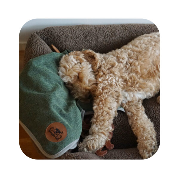 Swaggin Tails Drömmig Luksus Hundeseng Rainy Grey - Billede 4