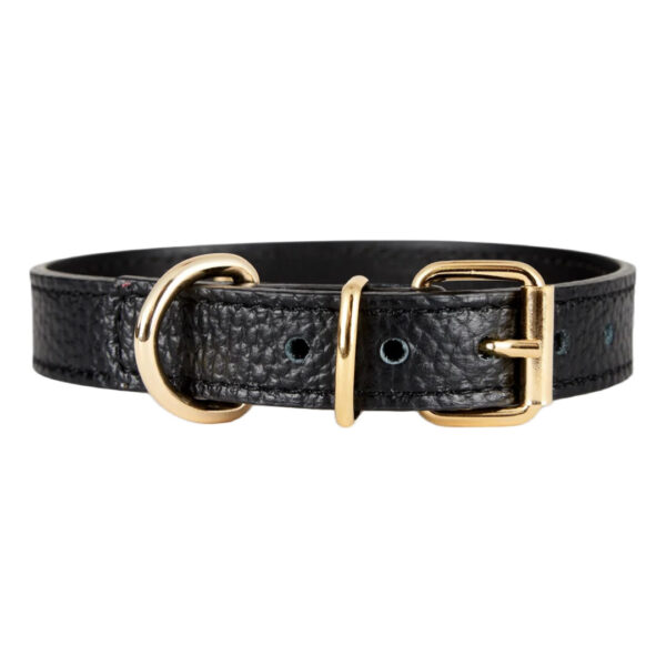 Branni Pets Juno Designer Halsbånd Sort - Image 2